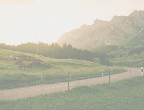 Umwelt & Verantwortung