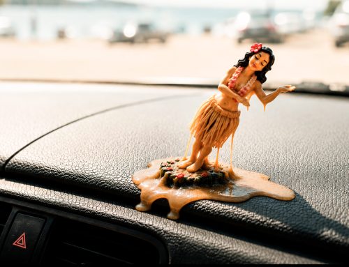 Sommerhitze im Auto