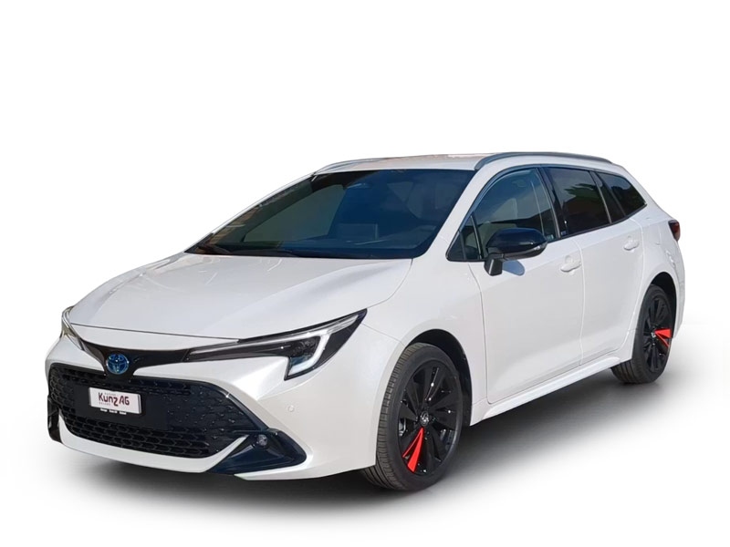 garage-kunz-lebenslage-hund-corolla-touring-sports